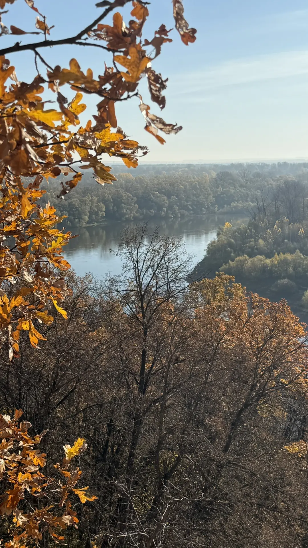 В таком прекрасном месте живу. Рядом лес, река.