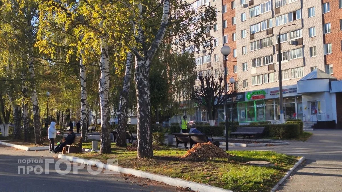 В Новочебоксарске задерживается бабье лето. 12 октября в городе будет сухо, а воздух пр...