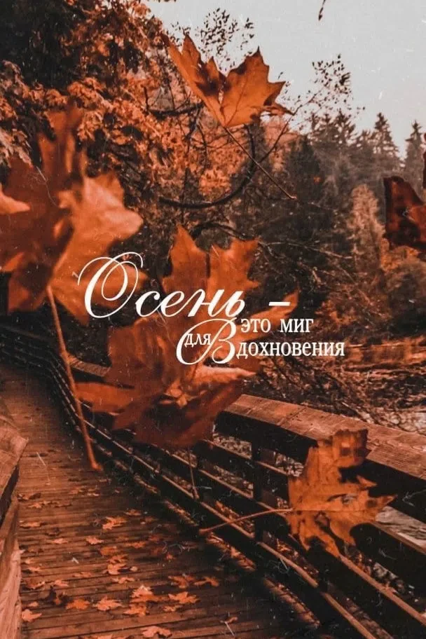 Золото осени 🍂 — это не только цвет листвы, но и ценность каждого прожитого дня ✨❤️