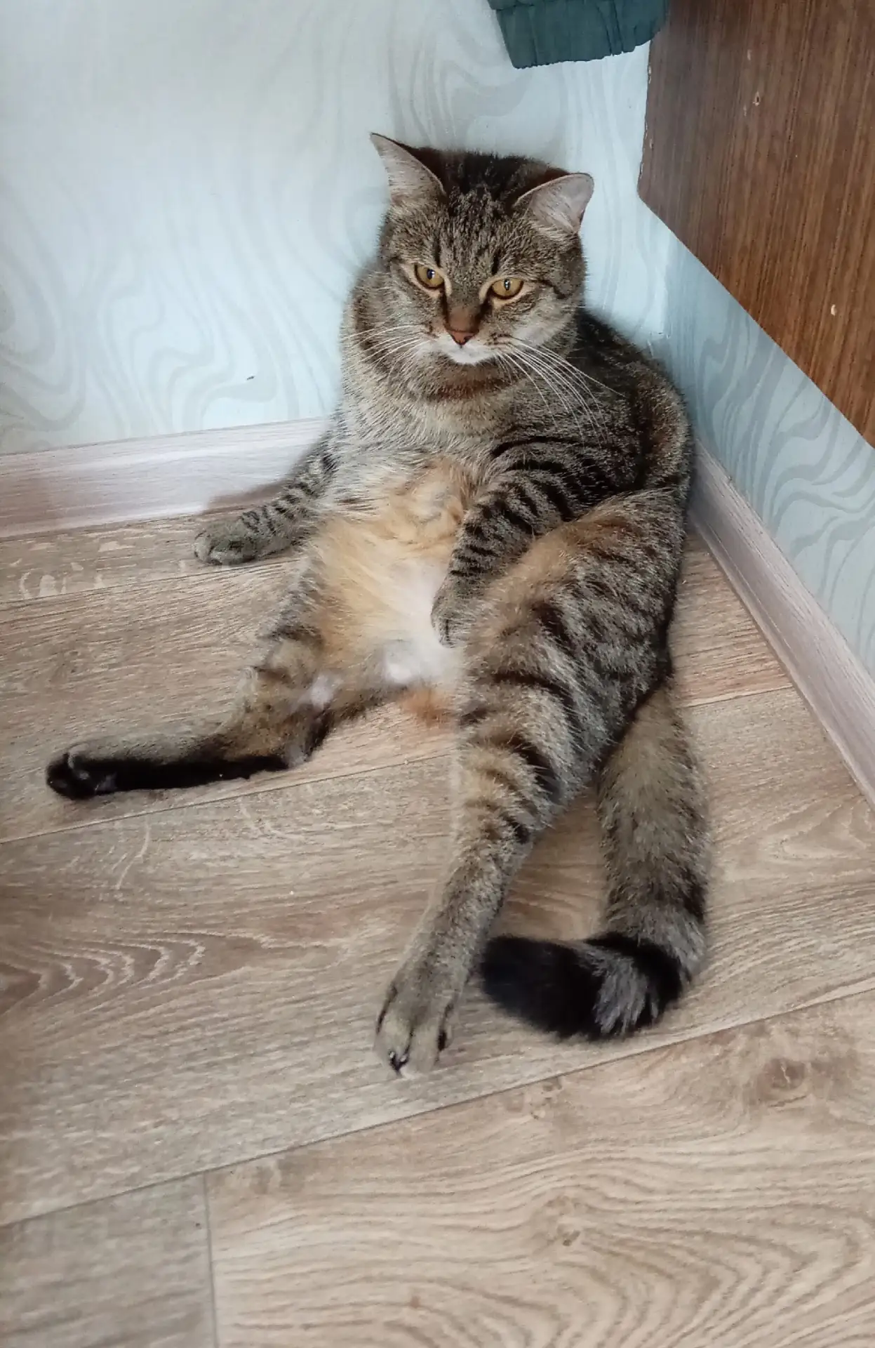 Здравствуйте