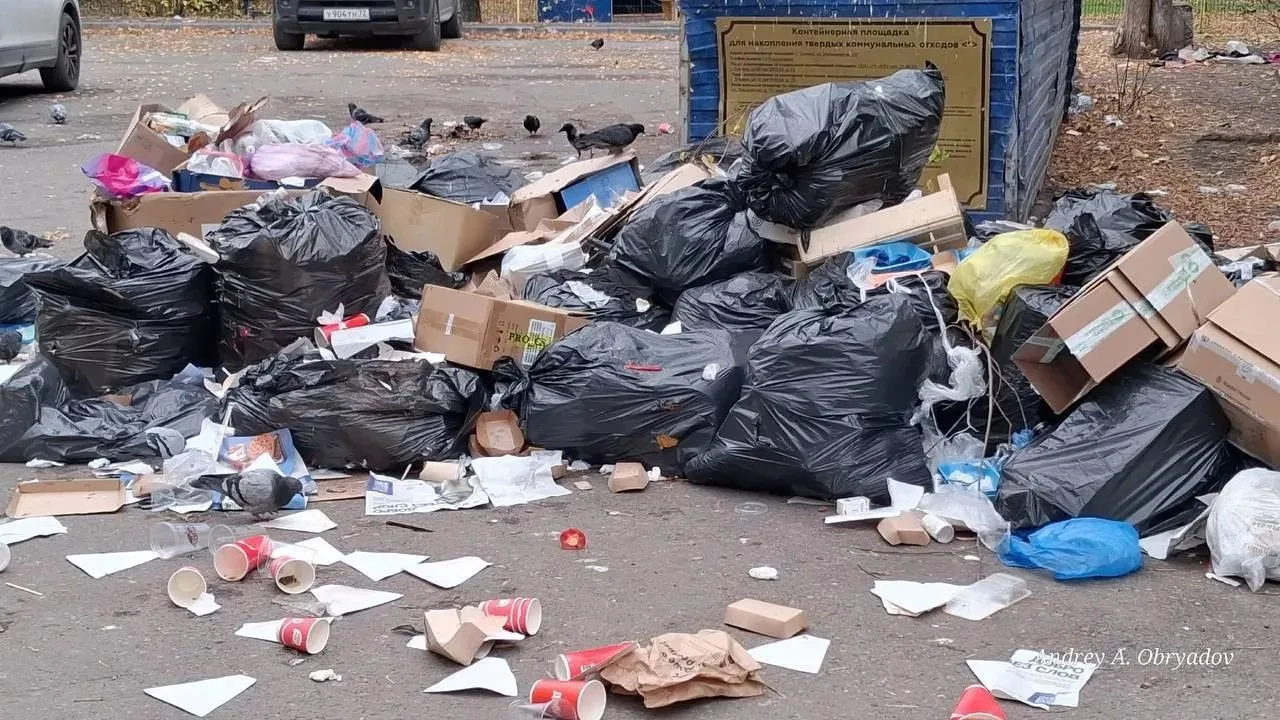 На Мельникайте, 107 нашли самый чистый двор Тюмени.