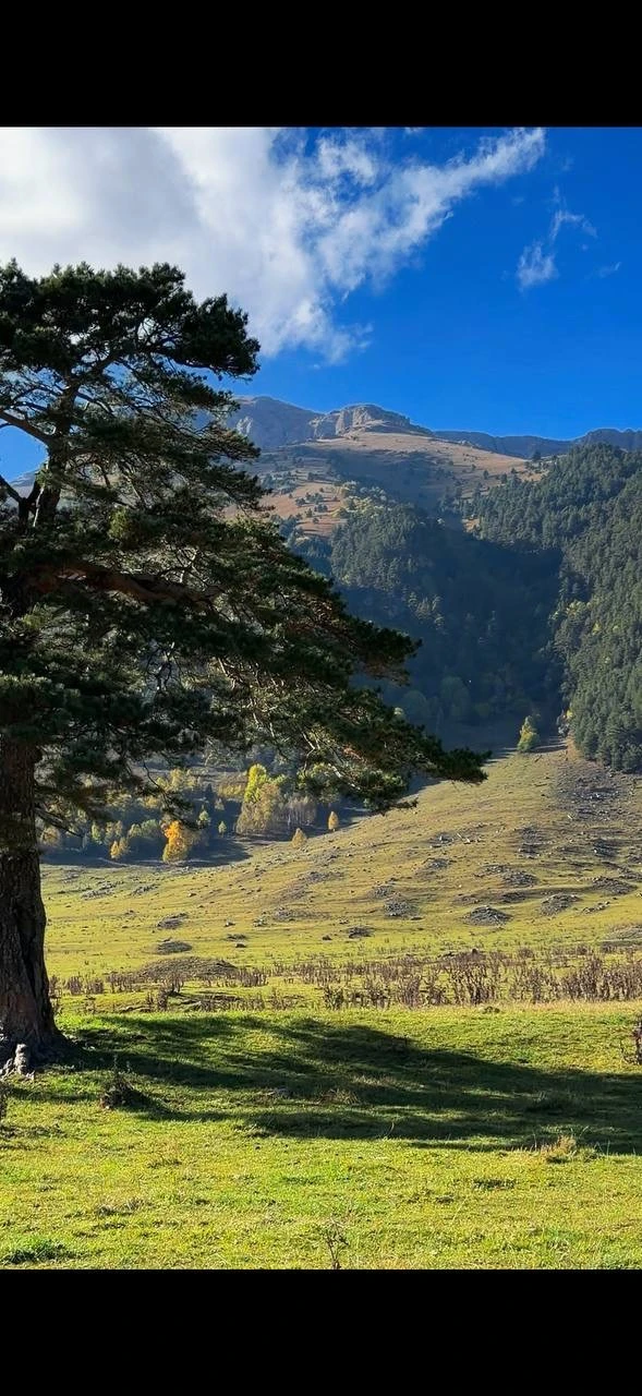 ☀️Доброе утро, дорогие друзья!