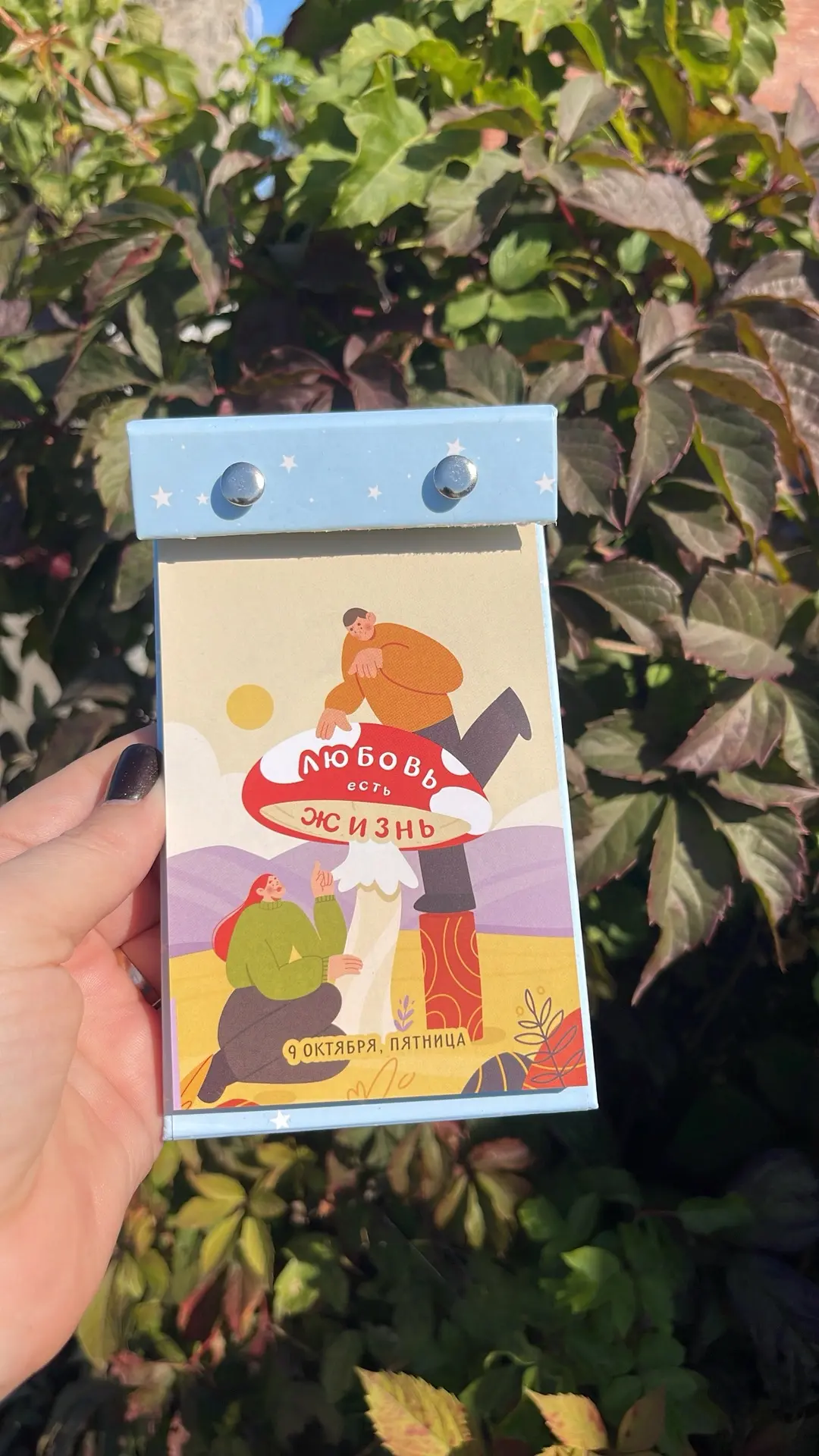 Работаю на ПВ до 17:00