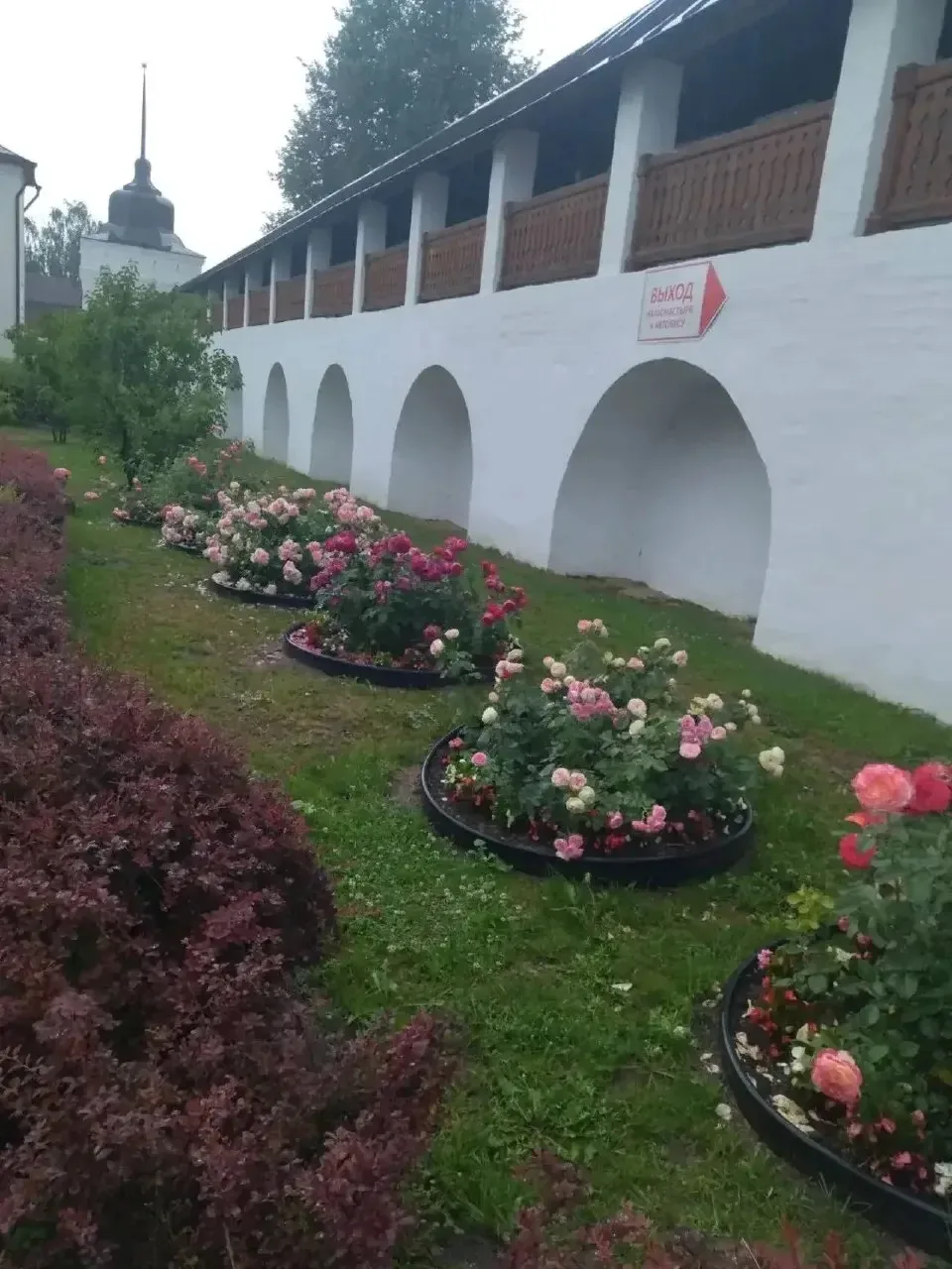 Фото подписчицы 😍