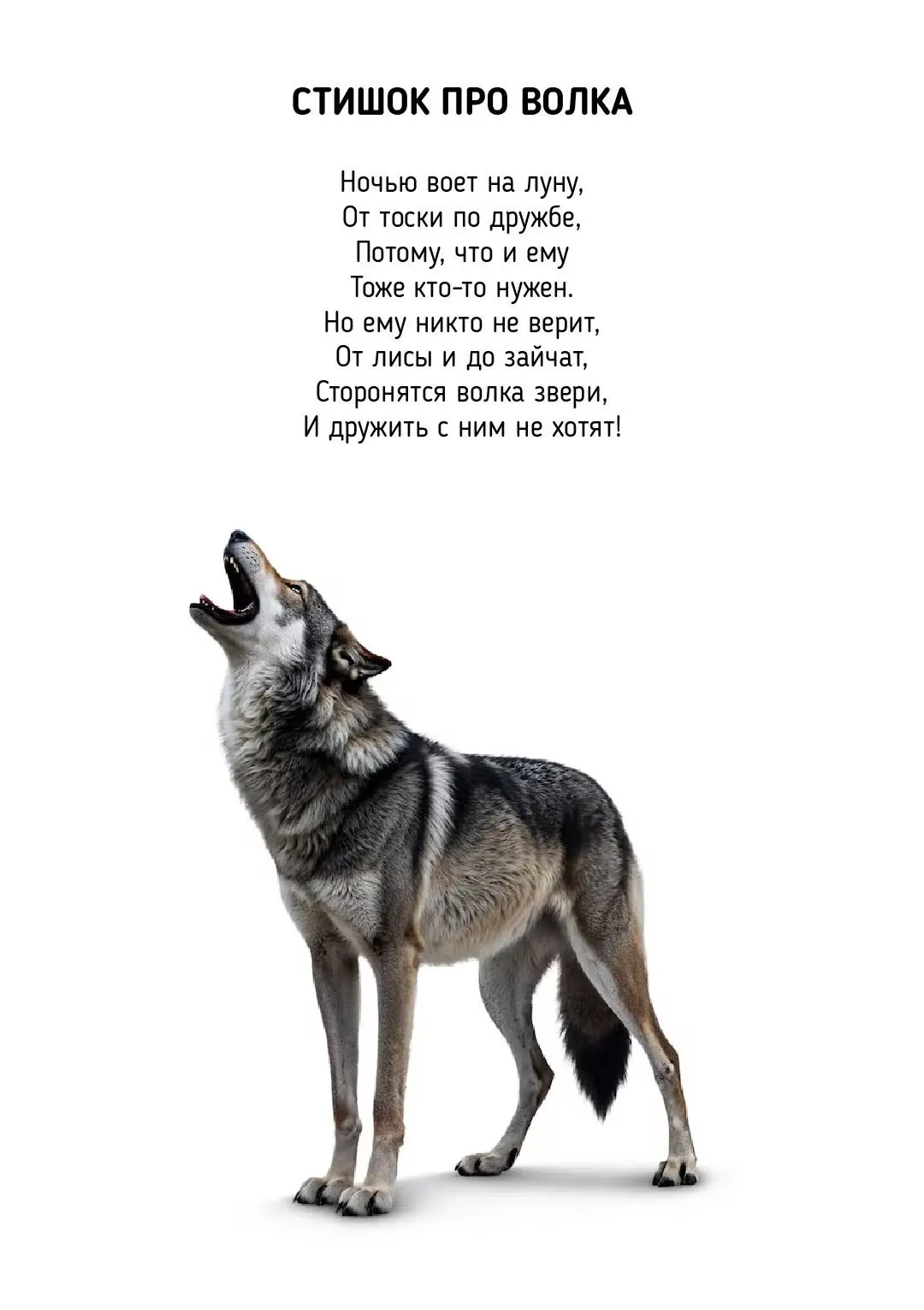 🐾 Короткие стишки про животных для детей — это весело и мило! Но знаете ли вы, почему ...