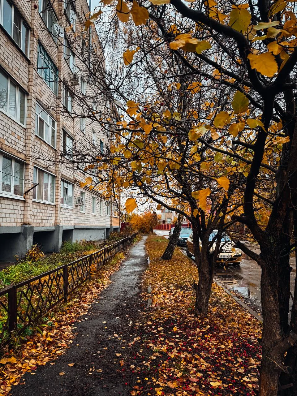 🔶 Дождливый Покров: что сулит народный календарь