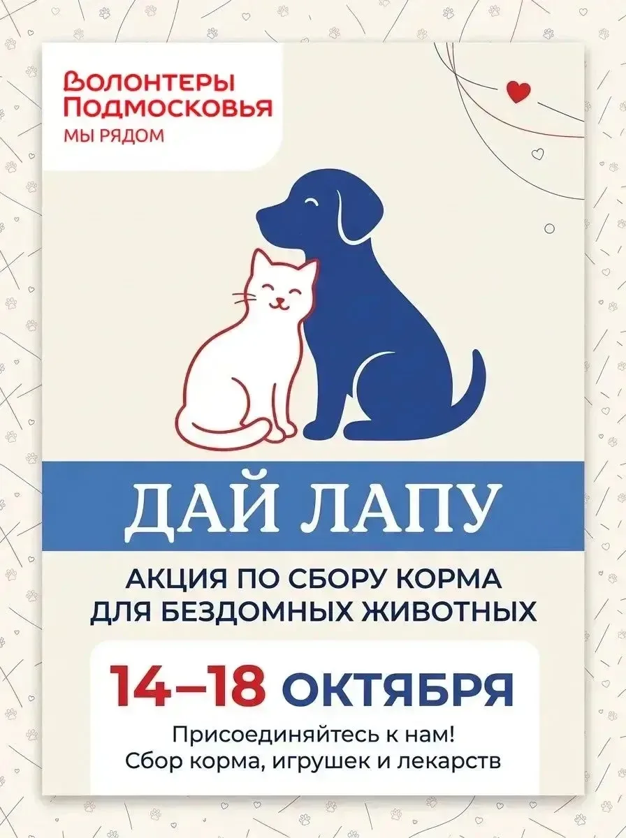 Наша школа присоединяется к акции «Дай лапу»! 🐾❤️