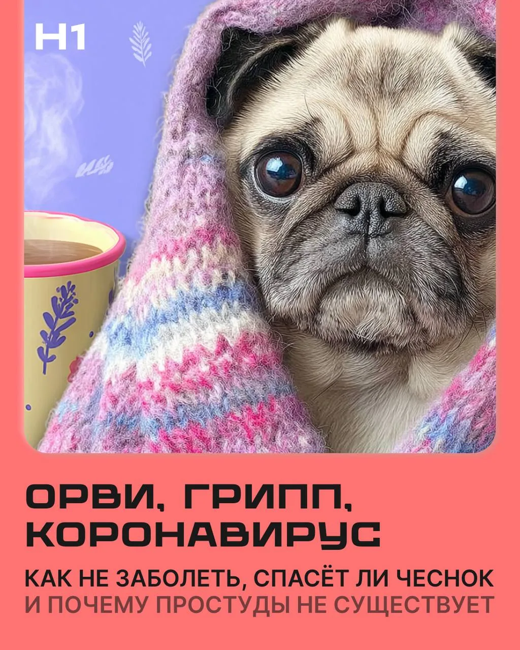 🤧Сезон ОРВИ и гриппа вошёл в чат.