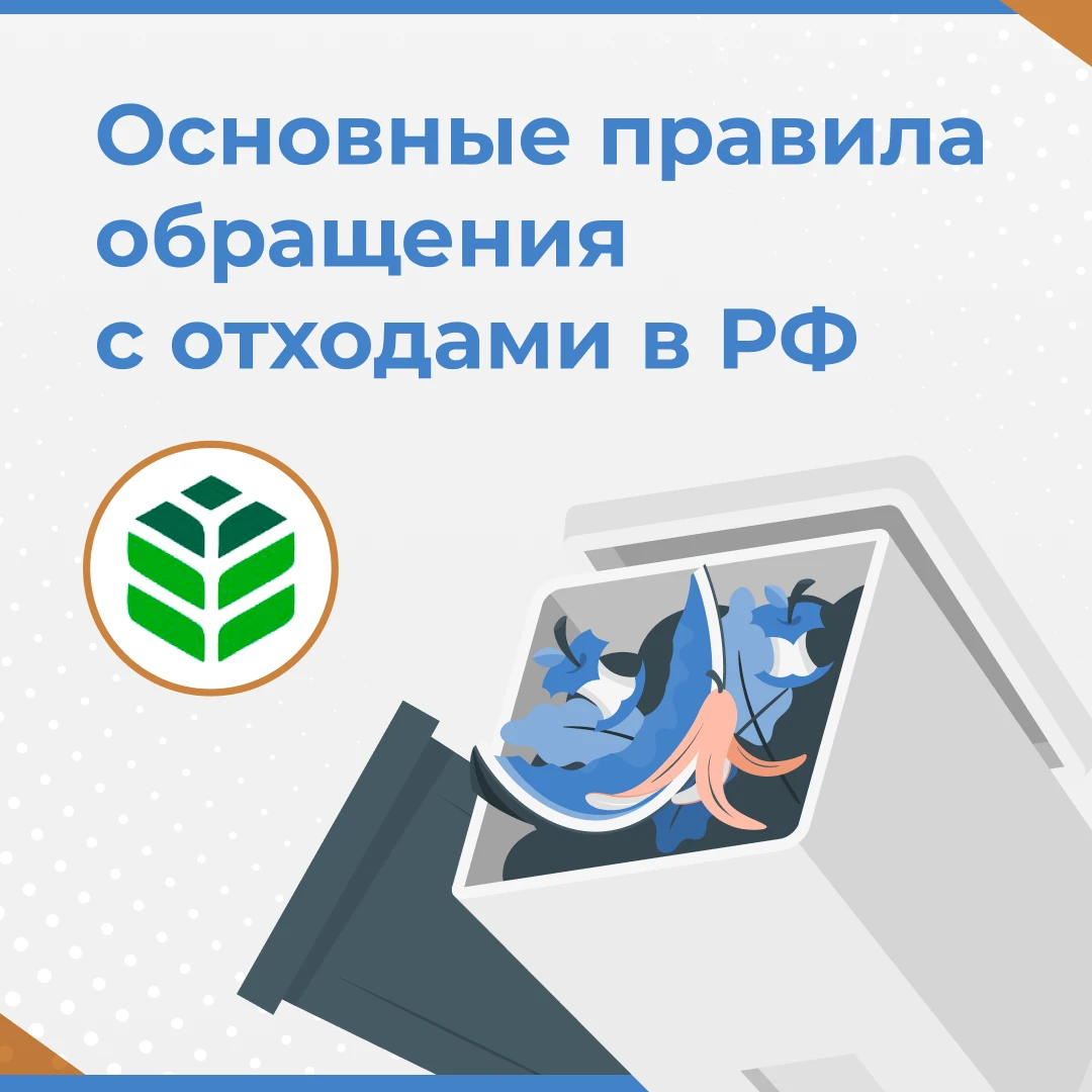 Основные правила обращения с отходами