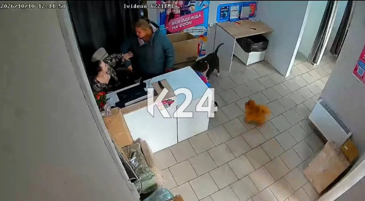 В Красноярске женщина избила сотрудницу ПВЗ и натравливала на нее стаффорда.