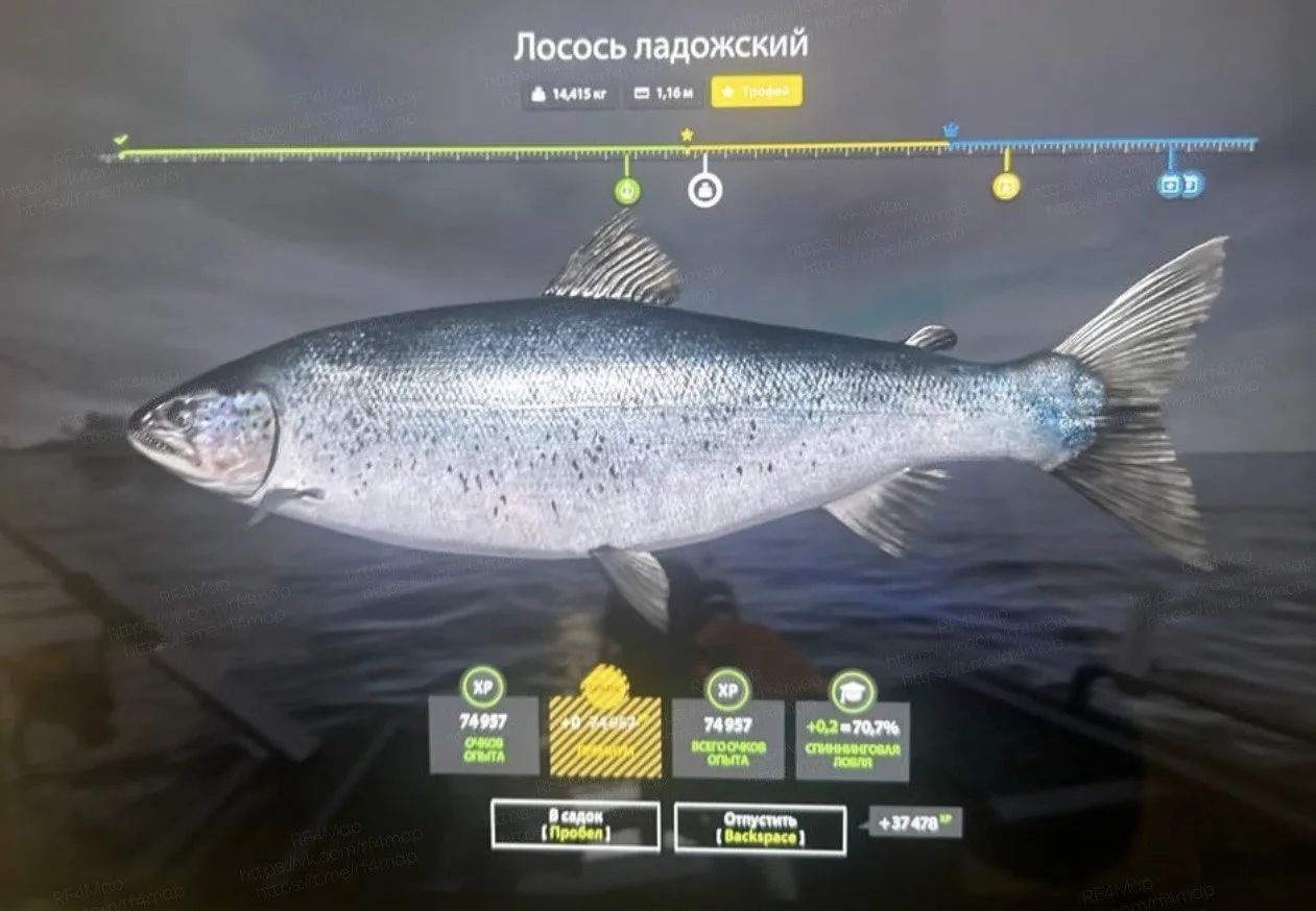 #уникальное_rf4map #трофей_rf4map