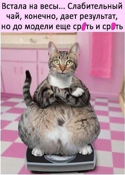 Прастити😂