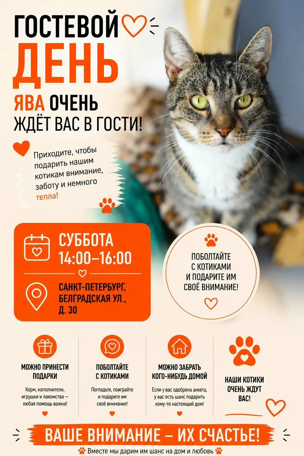 ✨Гостевой день✨