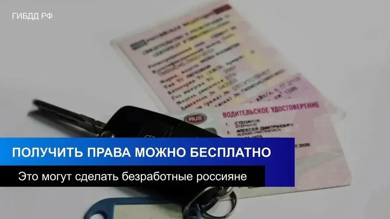 Безработные россияне смогут бесплатно получить водительские права