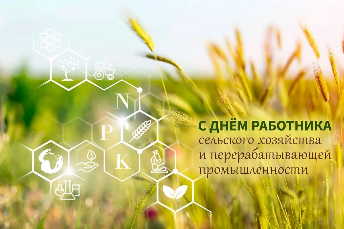 Уважаемые работники и ветераны агропромышленного комплекса!
