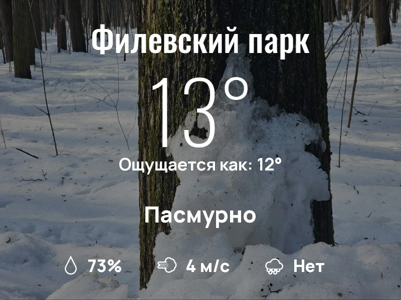 Что с погодой в Филевском парке?
