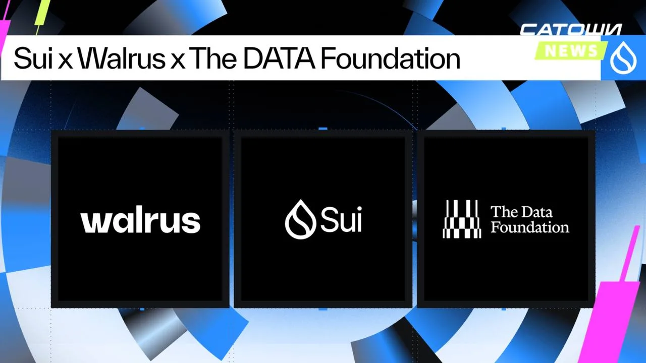 #SUI #DATA