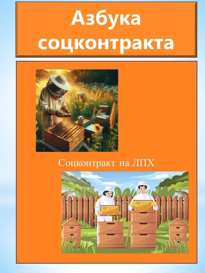 📜 АЗБУКА СОЦКОНТРАКТА 📜