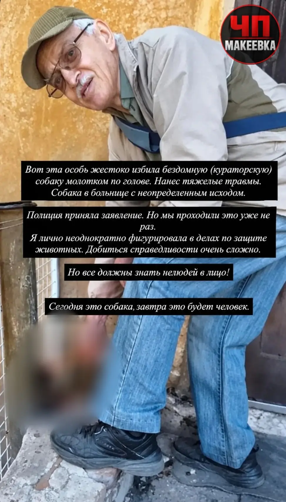В Макеевке зафиксированы факты жестого обращении с бездомной собакой.