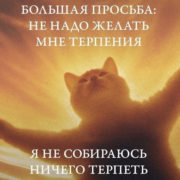 Меня бесят люди, которые лучше меня знают, что мне нужно 🛑