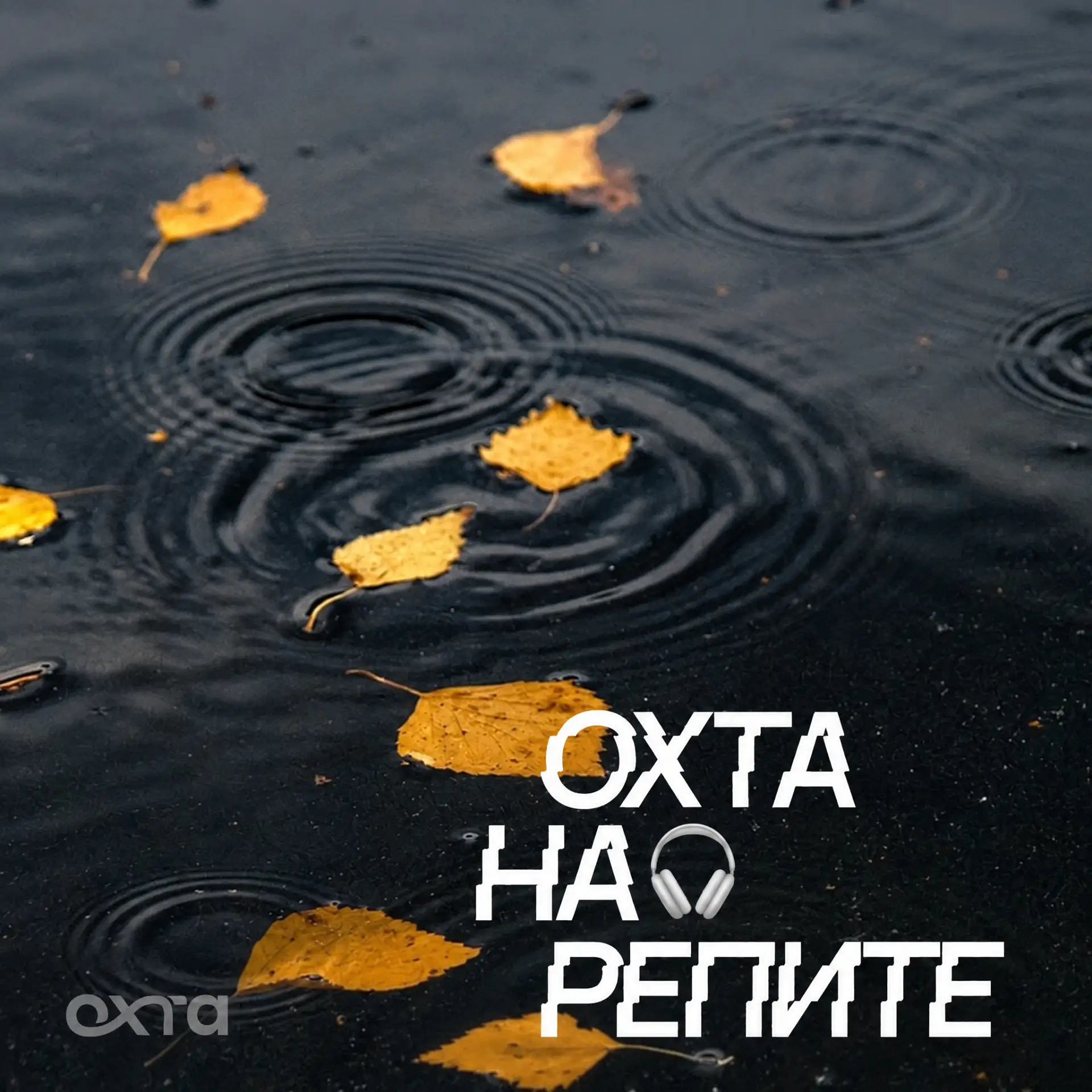 🎧 Музыка, которая нас связывает
