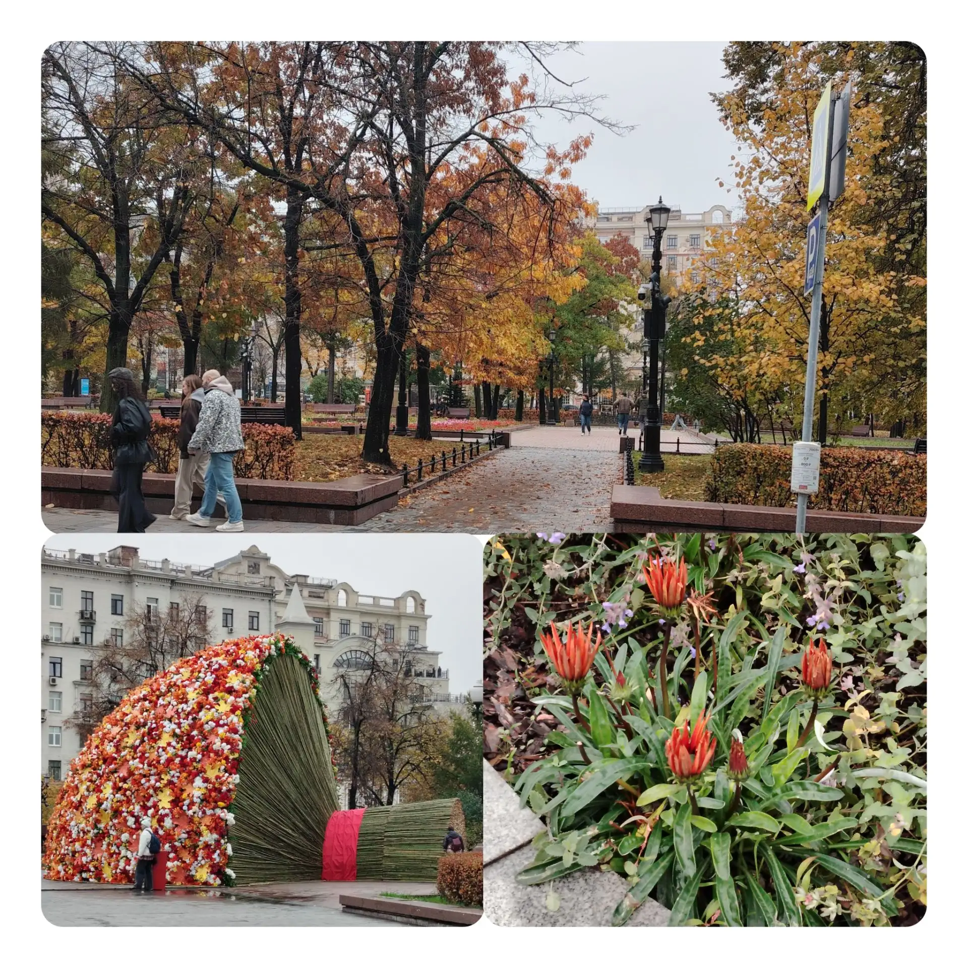 Нет рифм про осени картины.