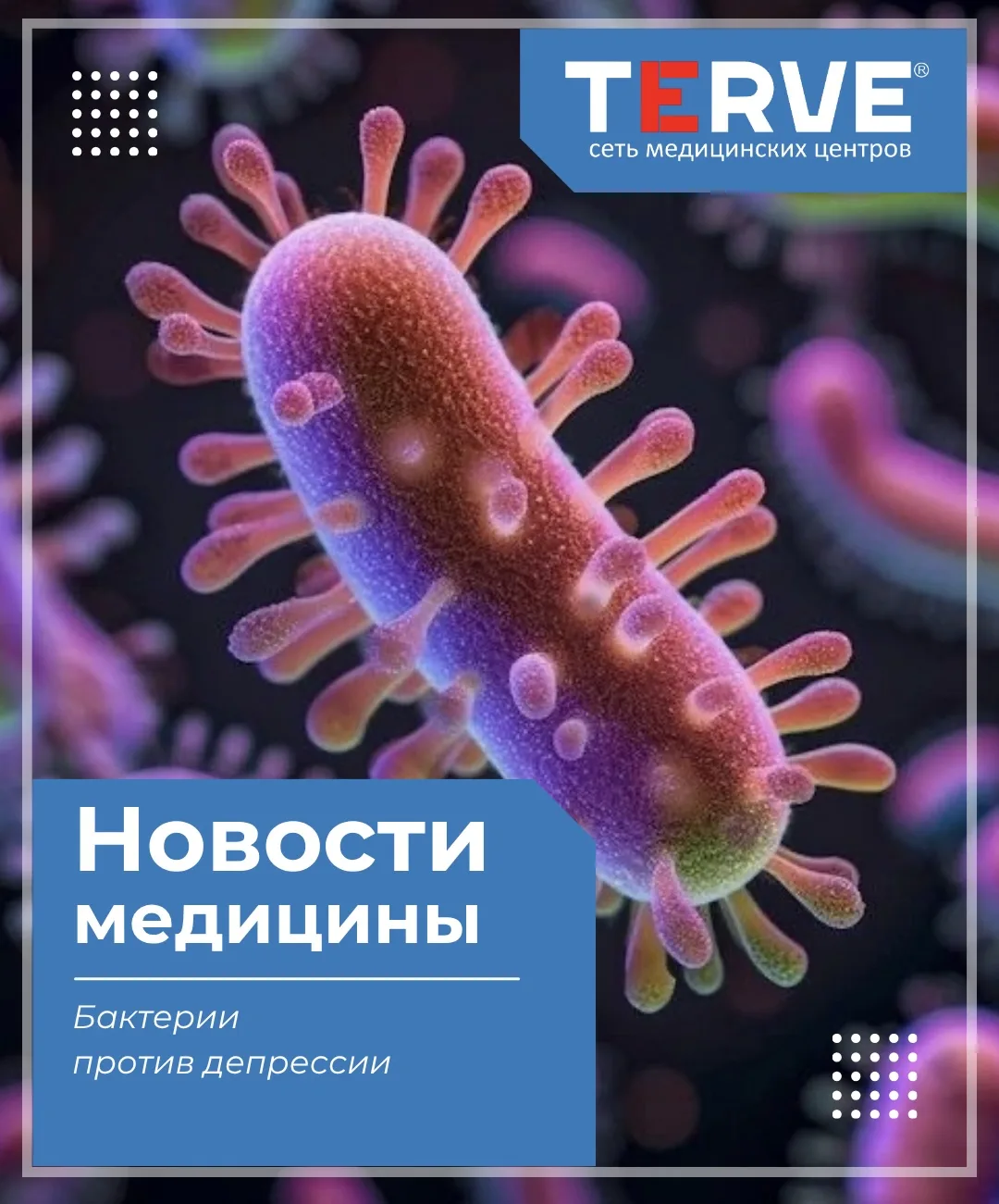 Бактерии против депрессии 🦠