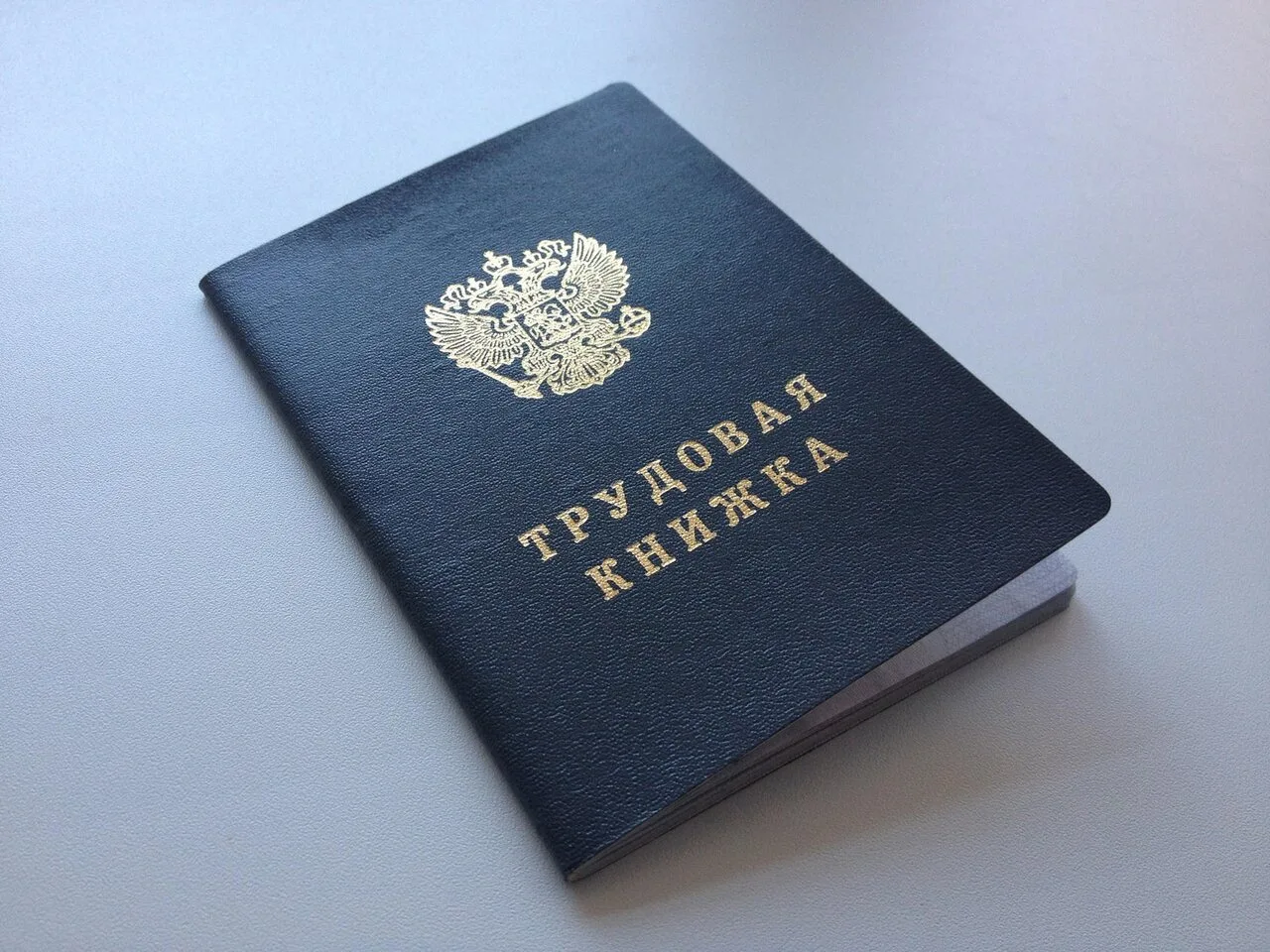 Директор профильного департамента заключил дополнительное соглашение к трудовому догово...