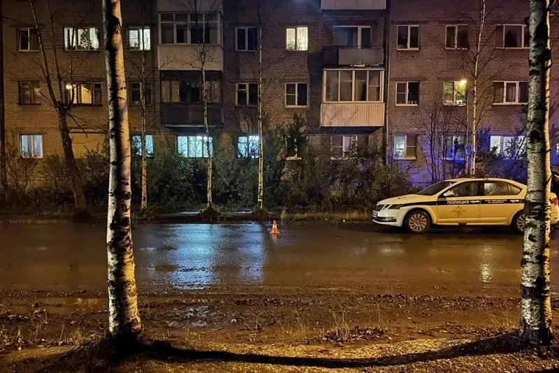 Сбитая на Партизанской женщина скончалась в больнице.