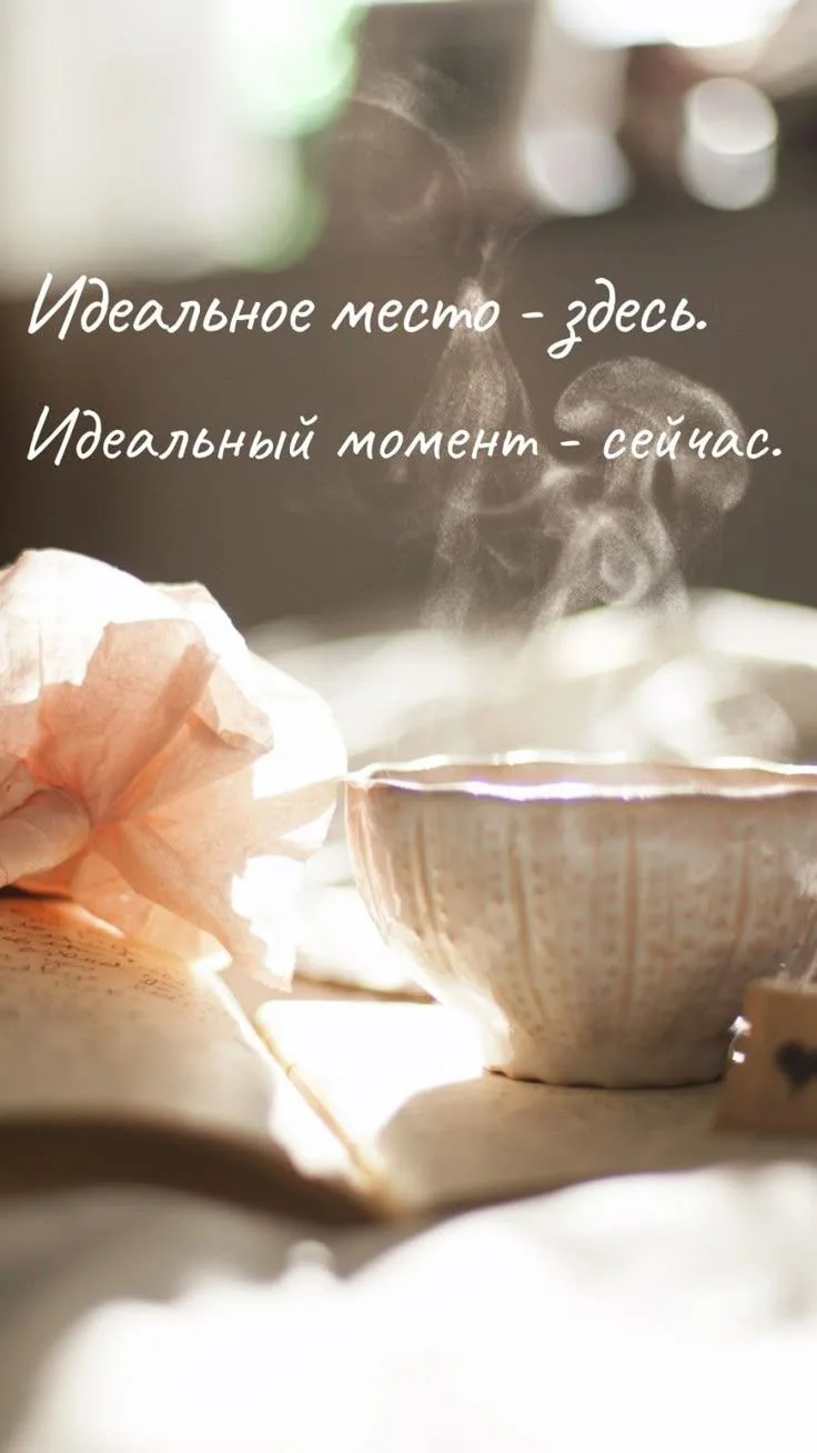 Новое утро — новый шанс.