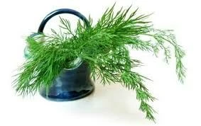 🌿 ОТ КАШЛЯ — ТРИ ПРОВЕРЕННЫХ НАРОДНЫХ СРЕДСТВА