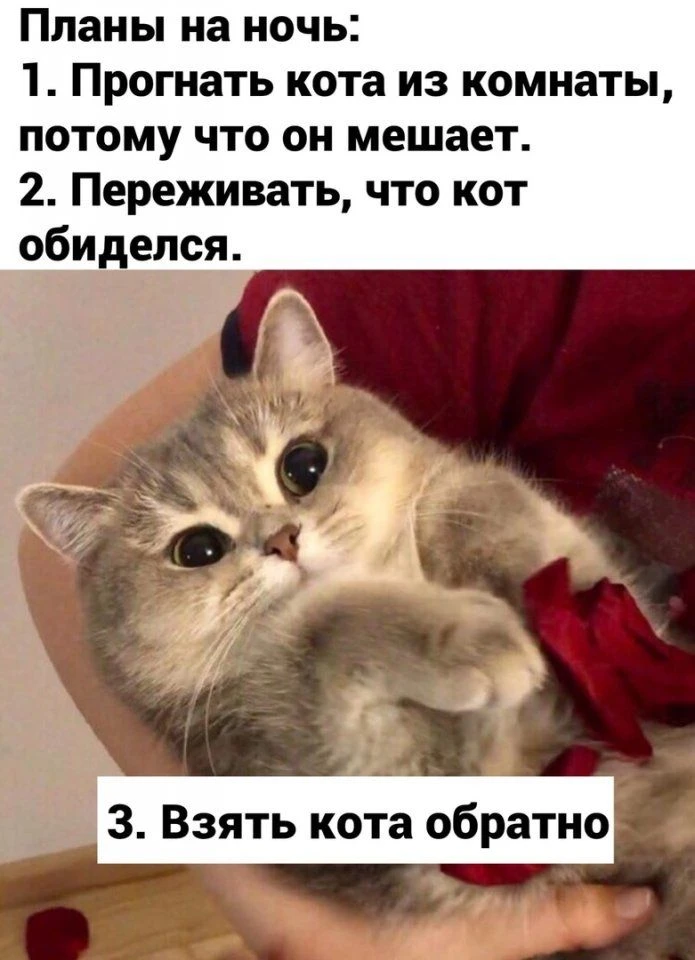 Иногда вместо кота у девушек страдает муж