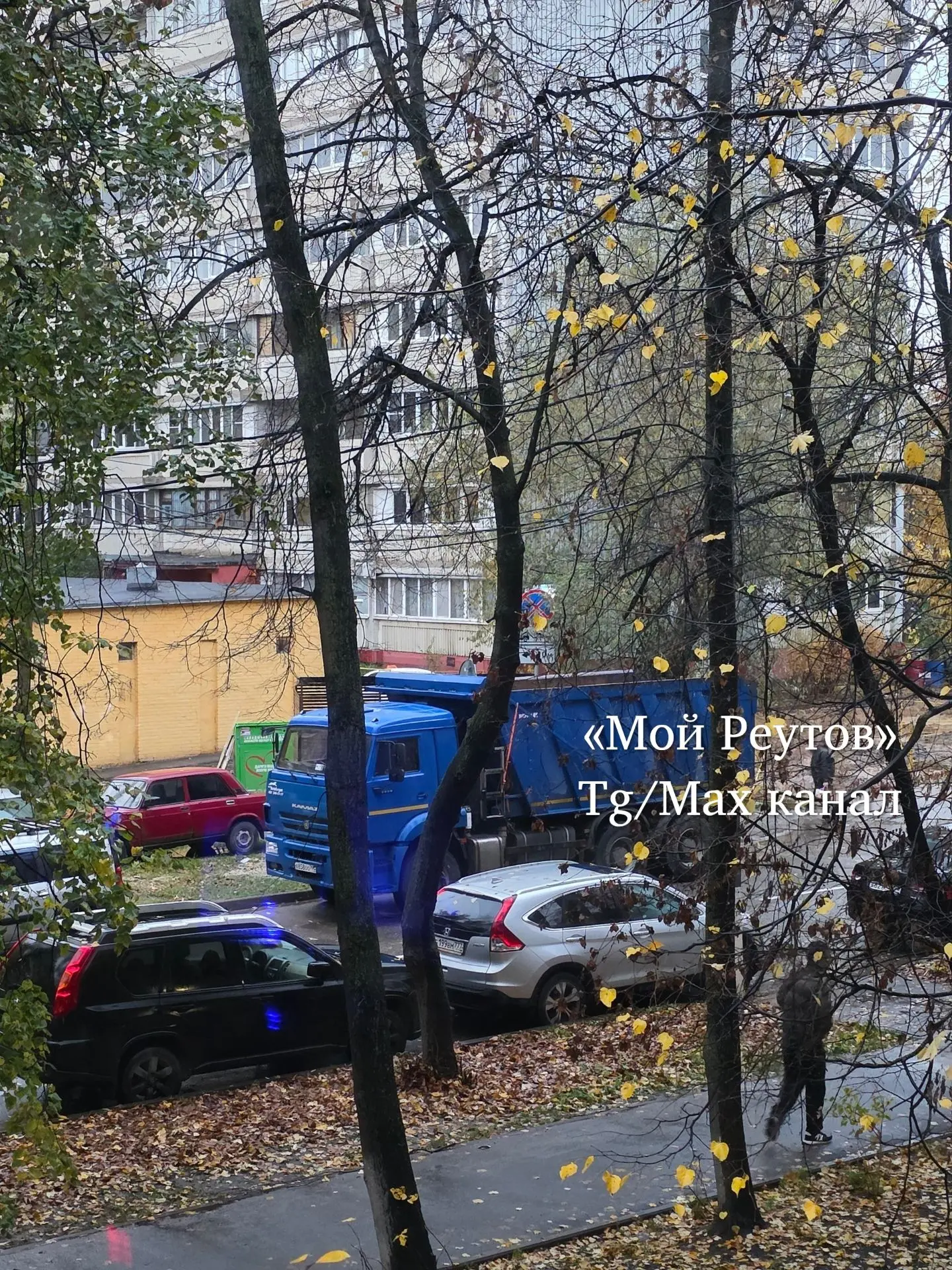‼️ Добрый день, дорогой канал ❤️