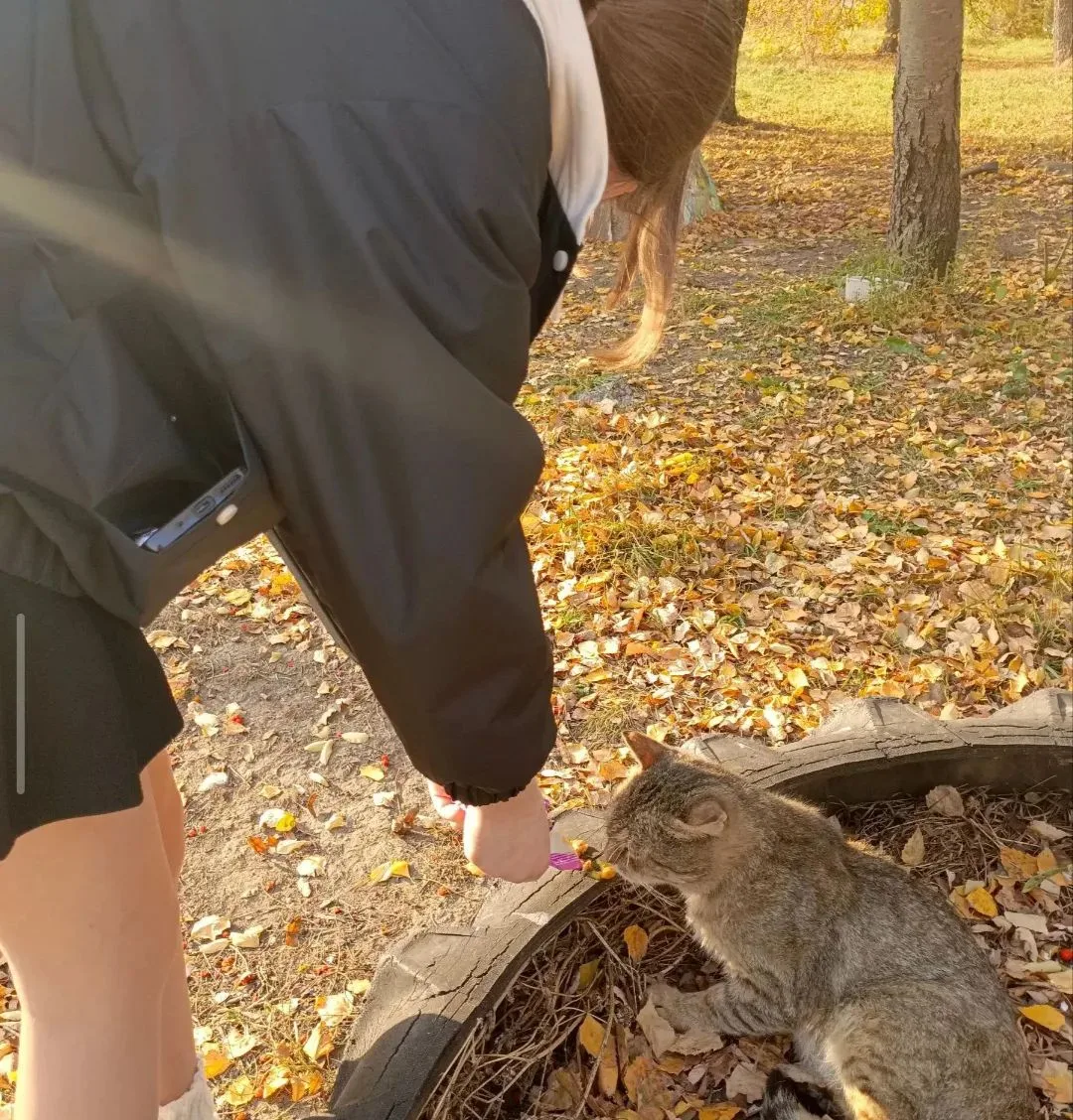 🐾  Согрей того, кто рядом, этой осенью!