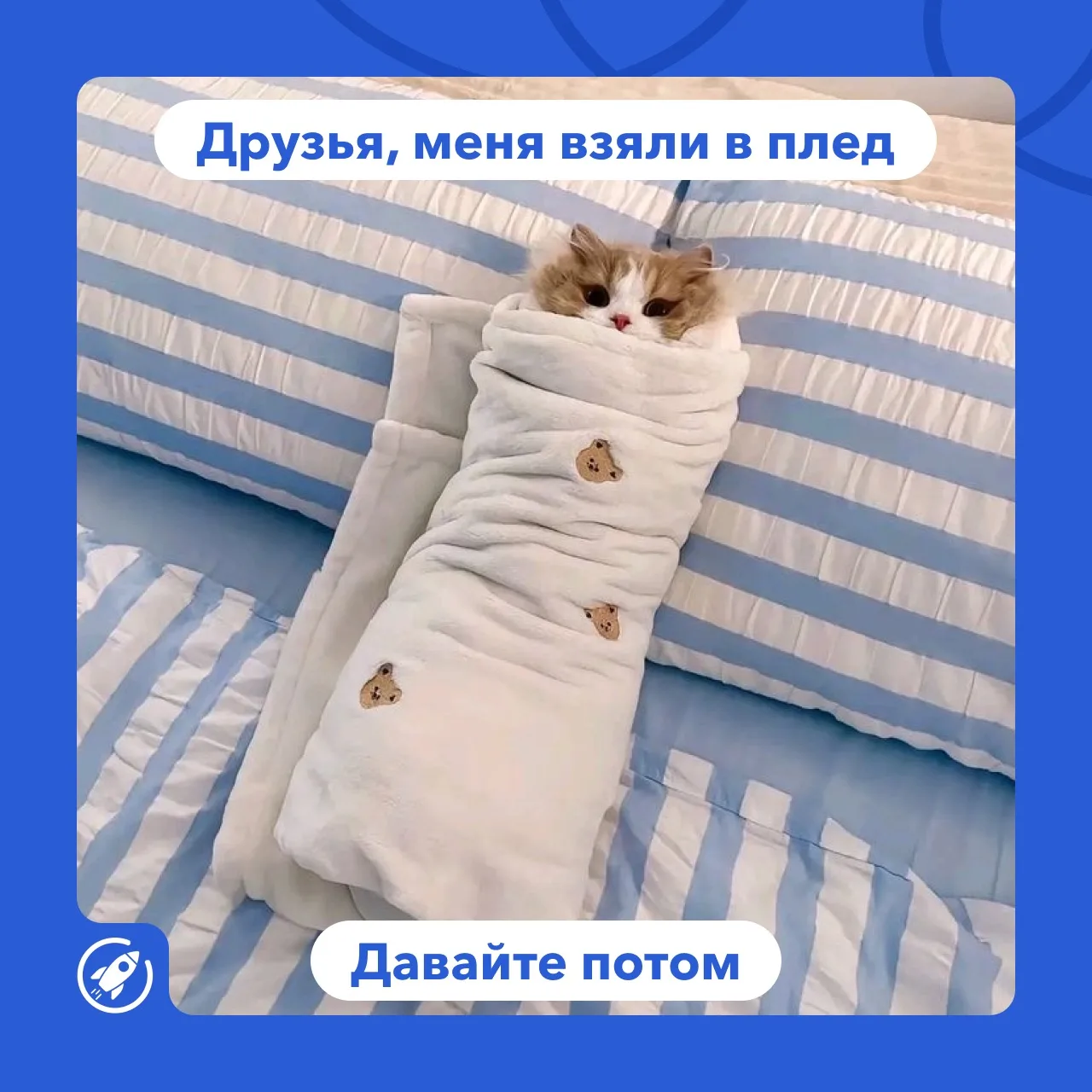 Сегодня мемов не будет 🙆🏻‍♀️
