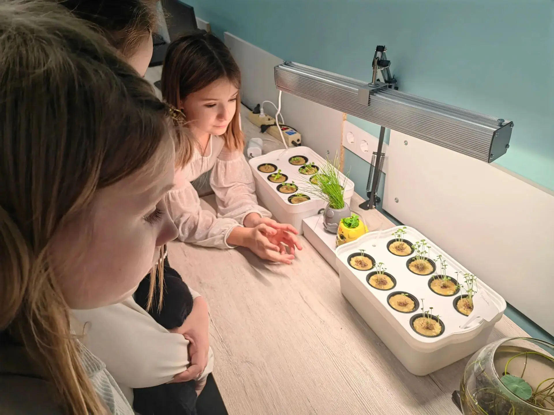 Огород на окошке: агрокласс в действии! 🌱