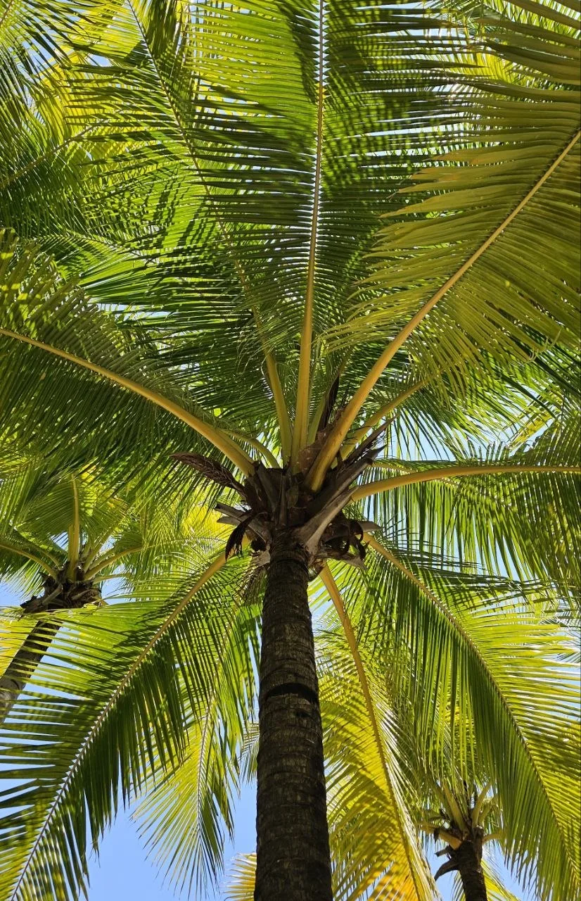 🇹🇭 ПАТТАЙЯ НА ДОЛГО ПО ВЫГОДНОЙ ЦЕНЕ! 🌴