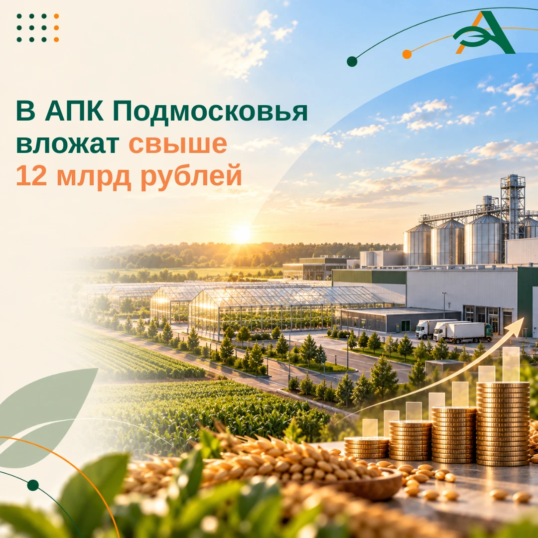 💰 Объем инвестиций в агропром Подмосковья превысит 12 млрд рублей