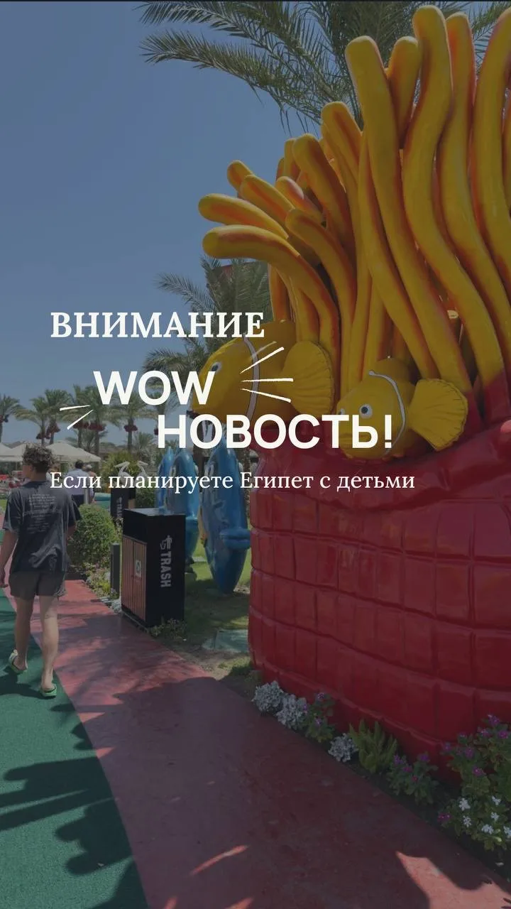Внимание WOW новость 🤩