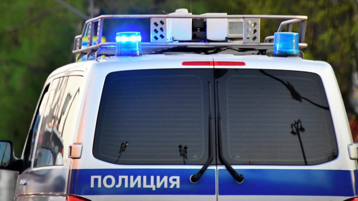 🚨Медработники спасли девочку от нападения