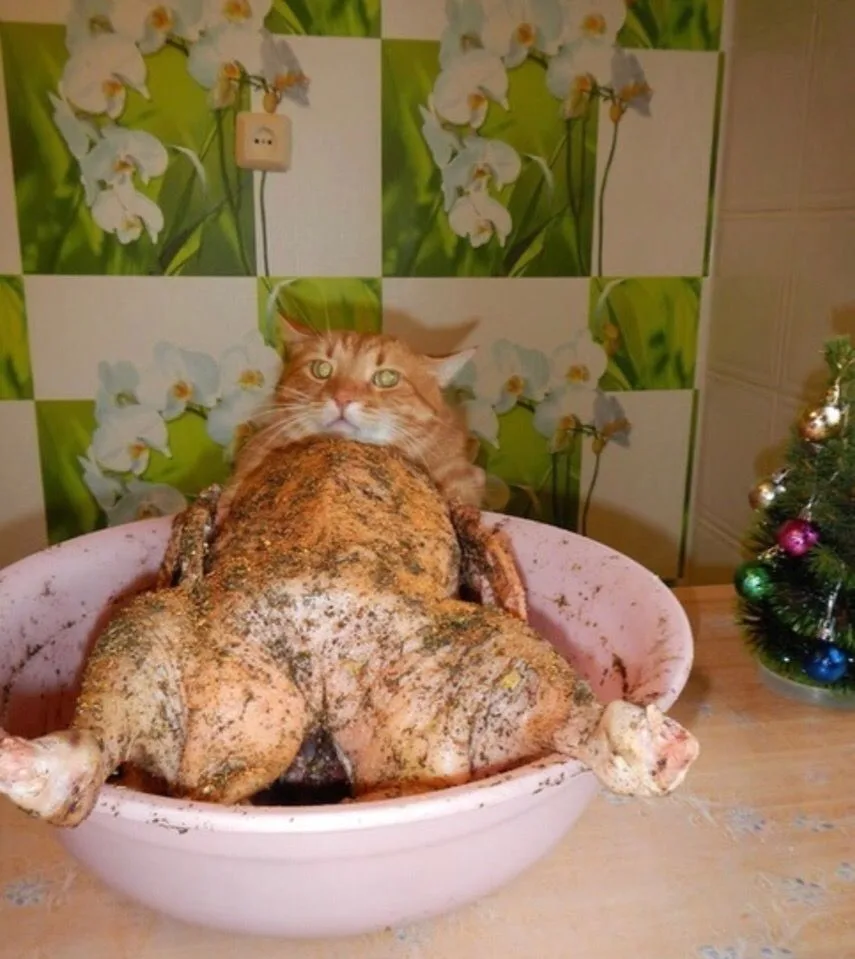 Ракурс решает все.