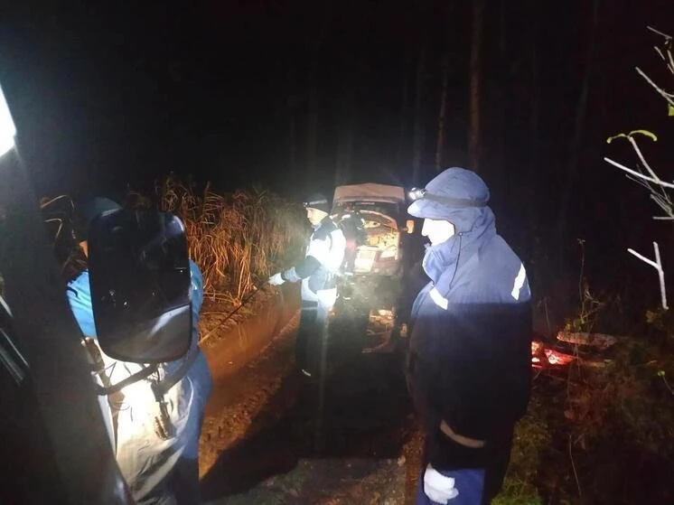 🚨 В Тюменской области спасатели вывезли из болота беременную девушку и её спутника