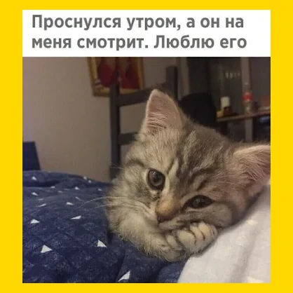 Полный Хохотамбл! Подпишись скорее