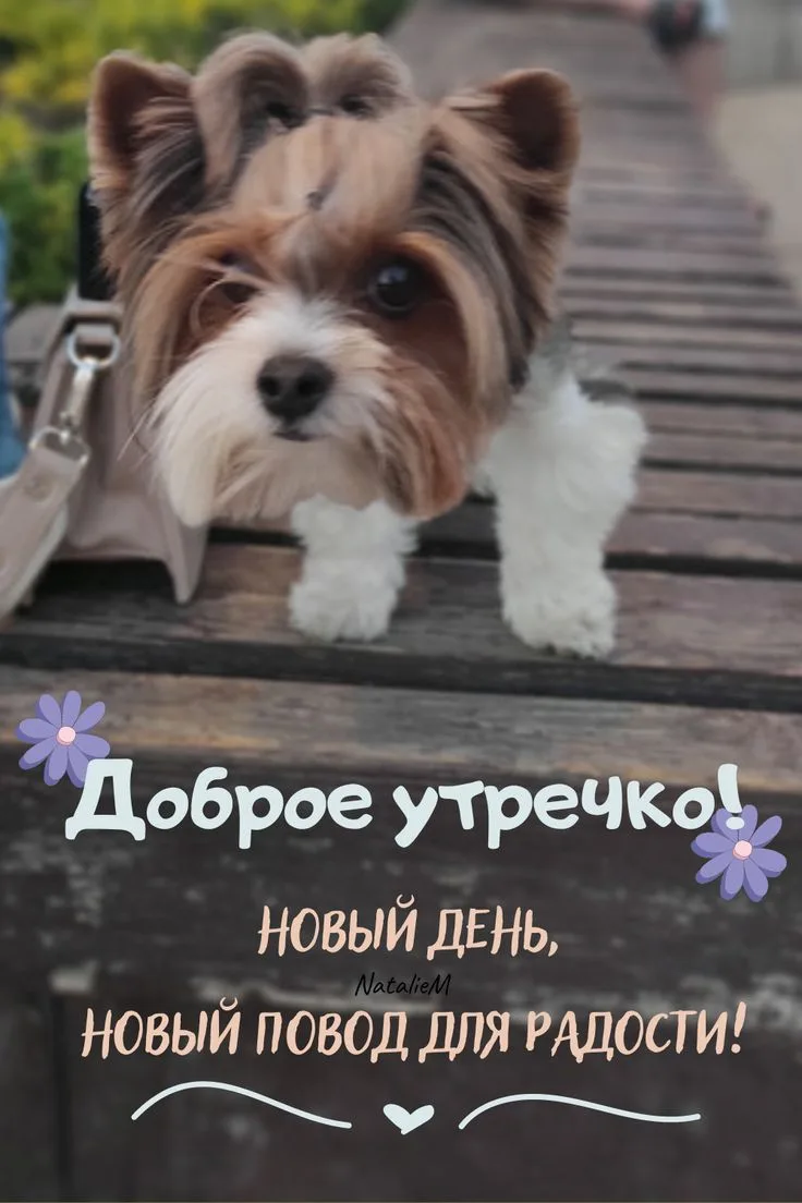 Доброе утро!