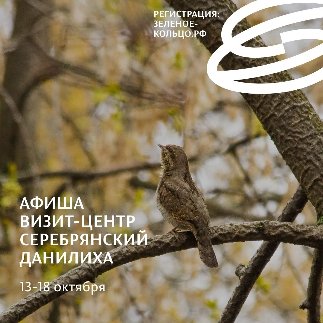 БЕСПЛАТНО