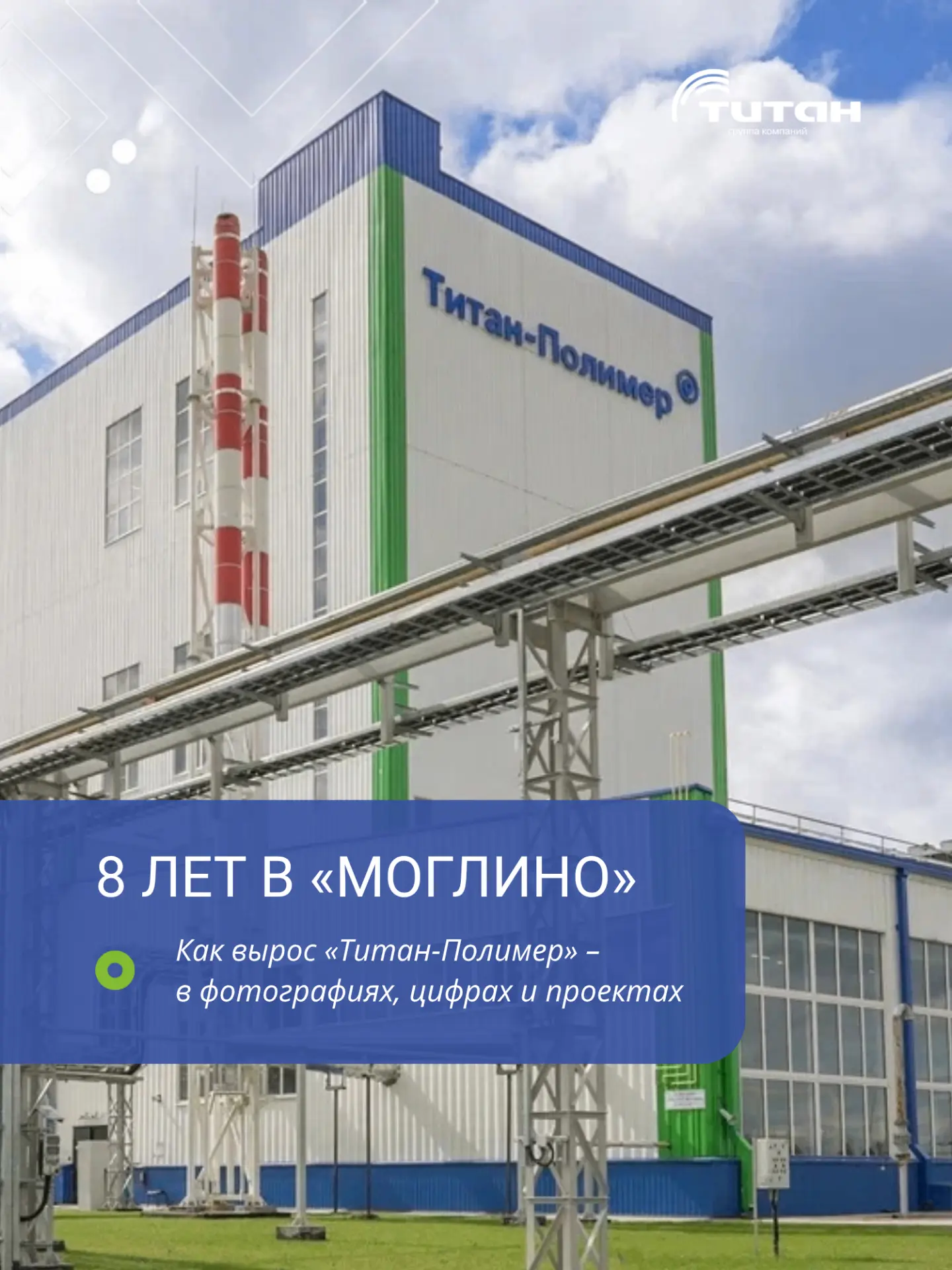 Восемь лет в «Моглино»