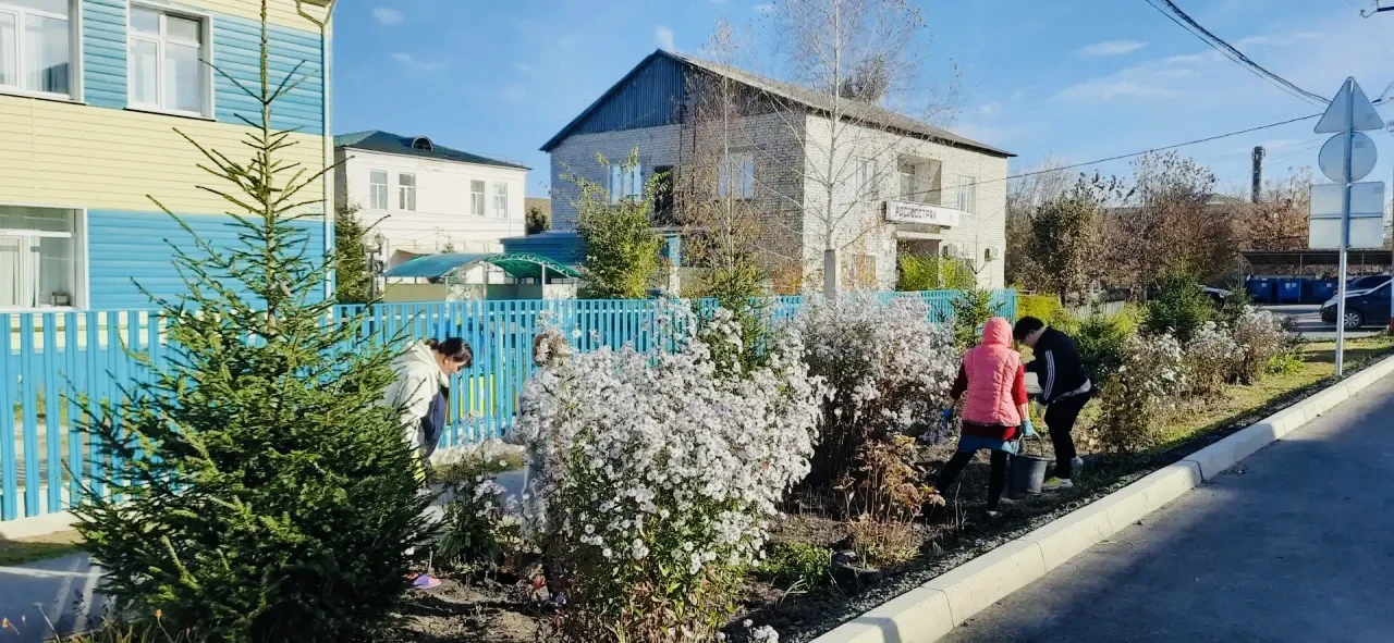 Сегодня коллектив детского сада высадил аллею белых лилий! Огромное спасибо Татьяне Шаб...