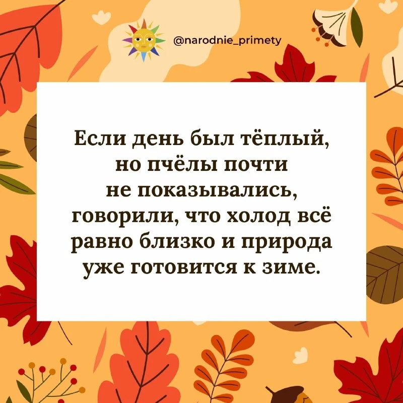 🌞Народные приметы