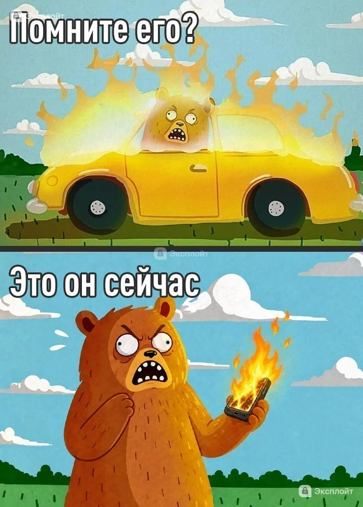 📱 Взорвавшийся телефон спас подростка от смерти в зубах медведя — животное прокусило т...