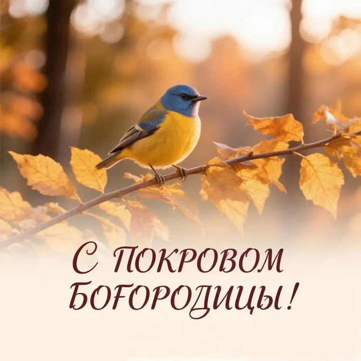 🍁14 октября-Покров Богородицы🍁